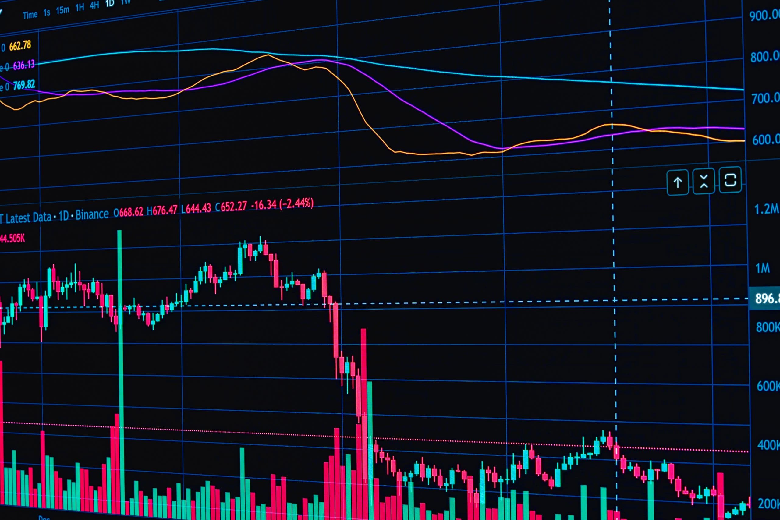 White Label vs. Custom Trading Platform: What to Weigh